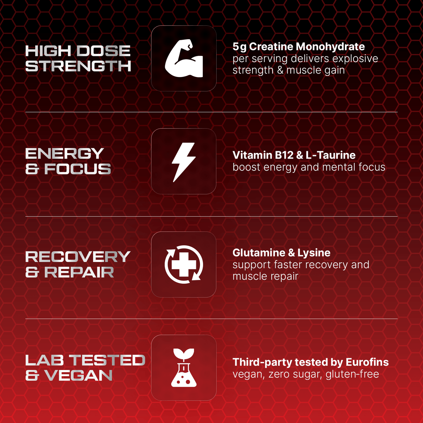 PRX Creatine Gummies – 5000 mg Creatine + B12 + αGPC – Vegan • Zero Sugar • Lab Tested - PRX